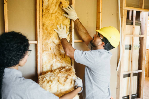 Professional Insulation Installation & Removal in Arcadia, SC